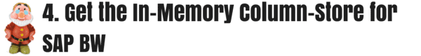 4. Get the In-Memory Column-Store for SAP BW