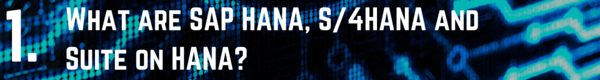 Question 1 What are SAP HANA, S4HANA and Suite on HANA