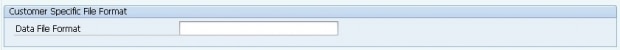customer specific file format
