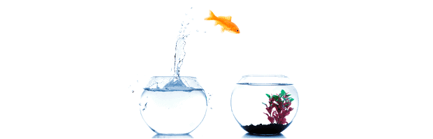 we will help you swim across with our track record in successful implementations.